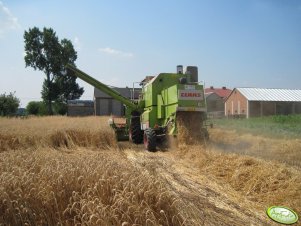 Claas Dominator 68S  C450