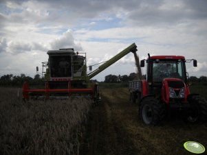 Claas Dominator 76 + Zetor