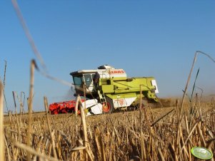 Claas Dominator 76