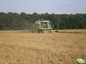 Claas Dominator 76