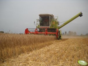 Claas Dominator 76