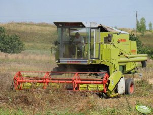 Claas Dominator 80