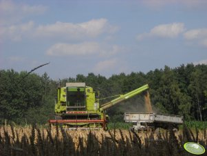 Claas Dominator 80