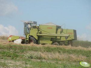 Claas Dominator 80