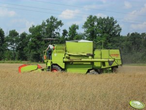 Claas Dominator 85