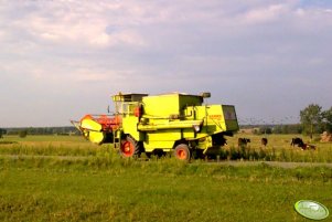 Claas Dominator 85