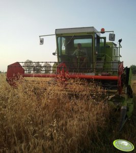 Claas Dominator 85