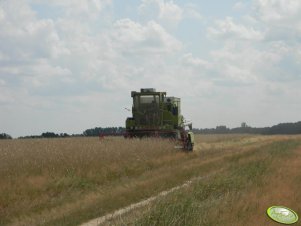 Claas Dominator 85 