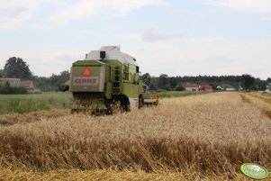 Claas Dominator 86