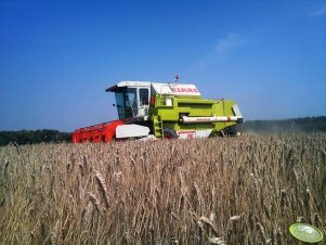 Claas Dominator 86