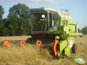 Claas Dominator 86