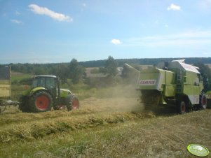 Claas Dominator 96 i Claas Arion 630 C