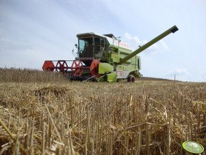 Claas Dominator 96