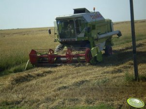 Claas Dominator 96