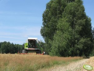 Claas Dominator 98 Maxi