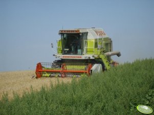 Claas Dominator 98