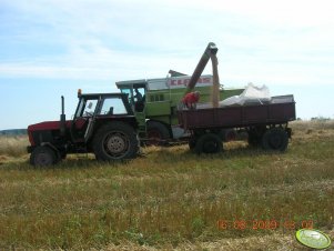 Claas Dominator 98SL +Ursus 912 +przyczepa