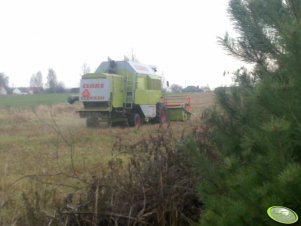 Claas Dominator 98sl