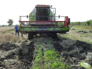 Claas Dominator 98sl