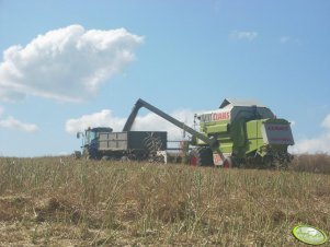 Claas Dominator Mega 204 + New Holland TD95D ;]