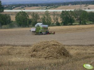 Claas Dominator Mega 204