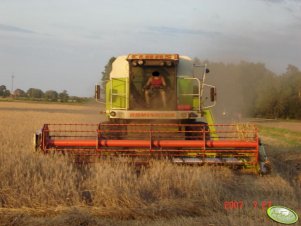 Claas Dominator