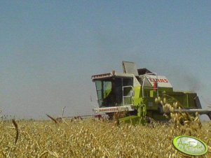 Claas DOMINATOR