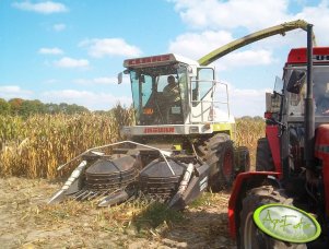 Claas Jaguar + 3 metrowy kemper