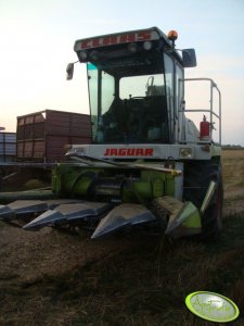 Claas Jaguar 682