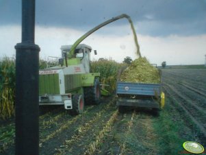 Claas Jaguar 682s 