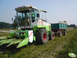 Claas Jaguar 685