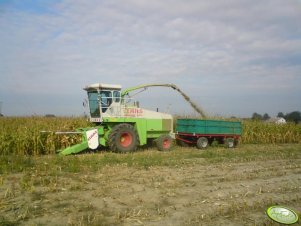 Claas Jaguar 685