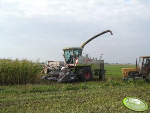 Claas Jaguar 690