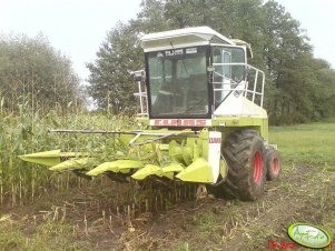 Claas Jaguar 690