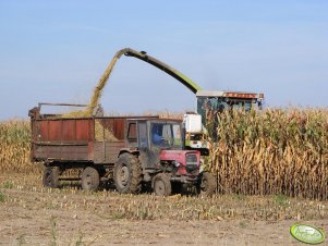 Claas Jaguar 690sl