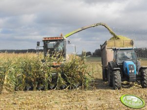 Claas Jaguar 695 Mega i Landini 2009 