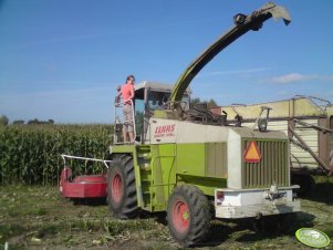 Claas Jaguar 695sl