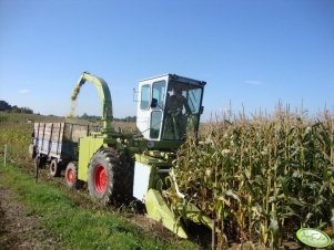 Claas Jaguar 80SF 4X4