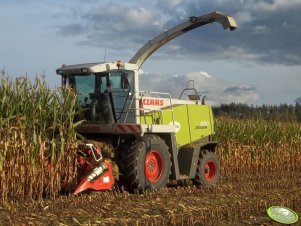 Claas Jaguar 830 & Kemper