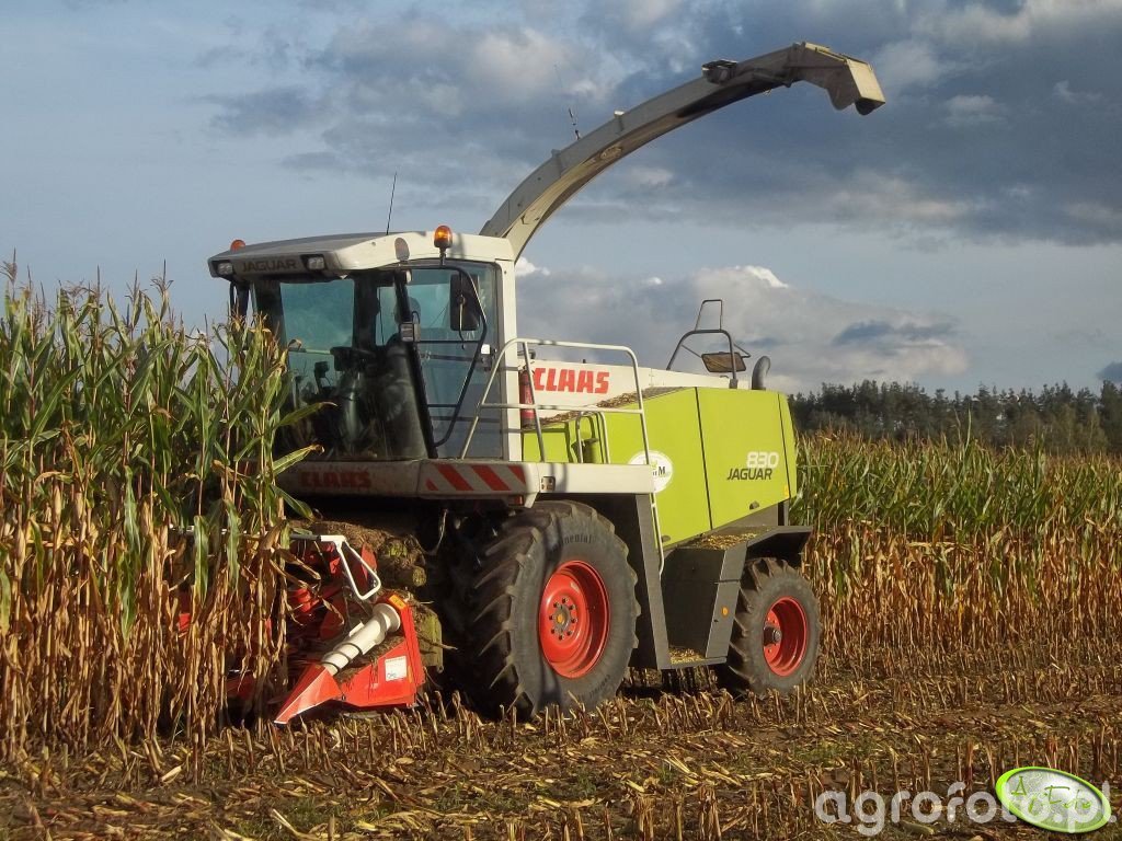 Claas jaguar 830