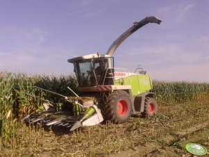 Claas Jaguar 830