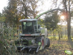 Claas Jaguar 840