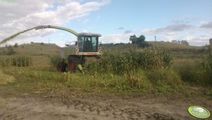 Claas Jaguar 840