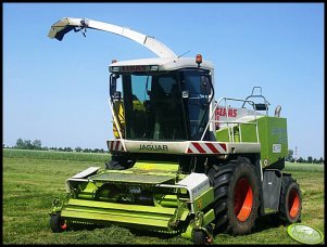 Claas Jaguar 850