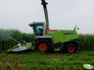 Claas Jaguar 850