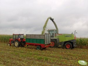 Claas Jaguar 850