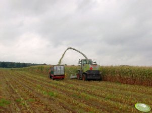 Claas Jaguar 850