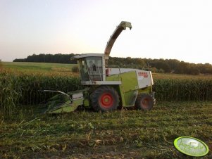 Claas Jaguar 860