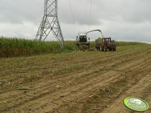 Claas Jaguar 860