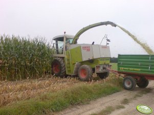 Claas Jaguar 860